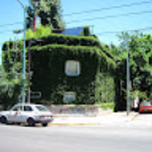 Meet your Posher, Kaya - Picture 1 of 1